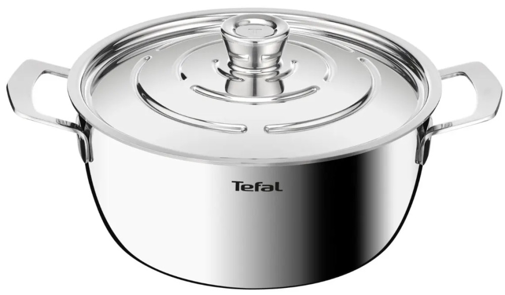 Кастрюля Tefal Emotion Gourmet E3394655