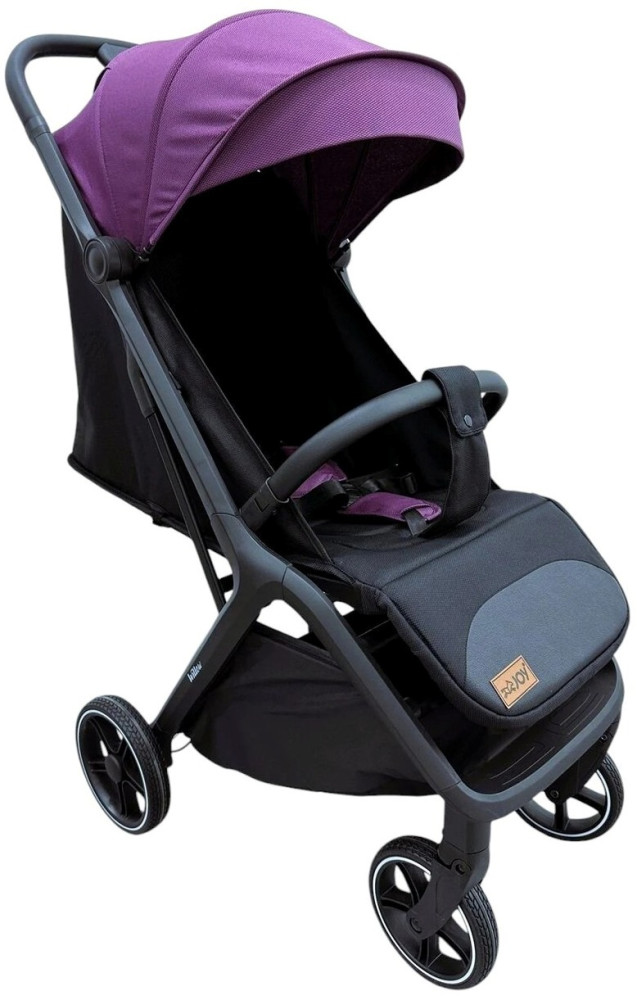 Коляска Joy Willow