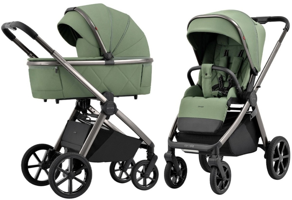 Візочок Carrello Omega 2 in 1