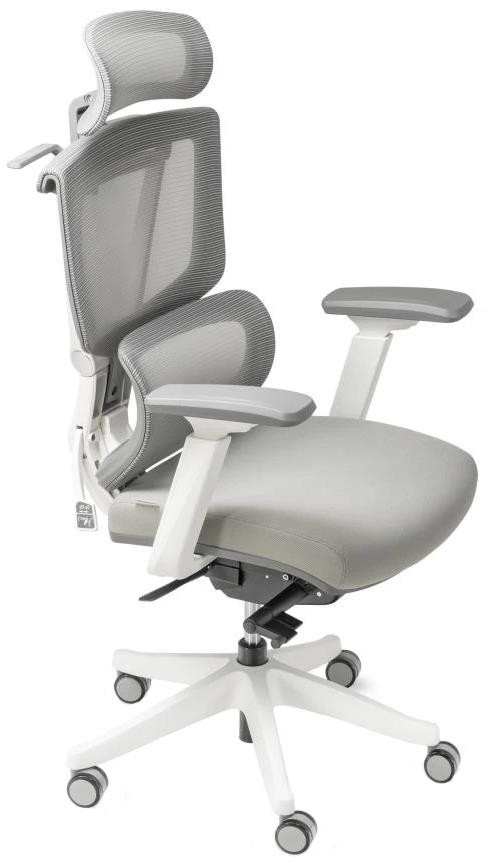 Компьютерное кресло ADAPWORK S2 Senior ErgoChair