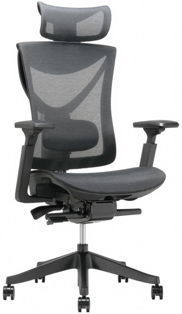 Компьютерное кресло ADAPWORK S1 Mesh Senior ErgoChair