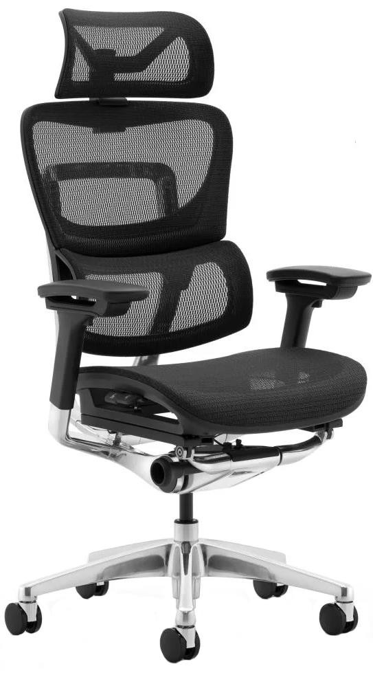 Компютерне крісло ADAPWORK L1 Mesh Lead Ergochair Deep