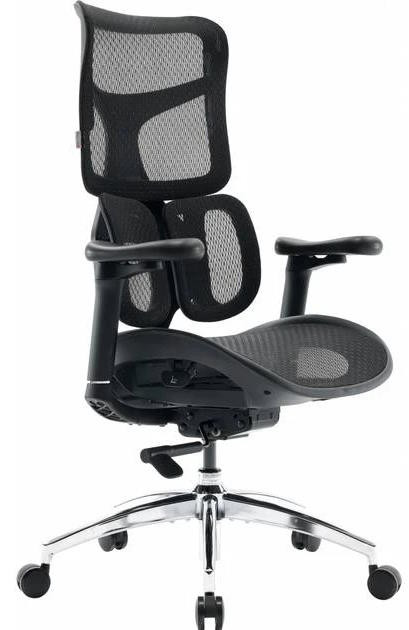 Компьютерное кресло Sihoo DORO S100