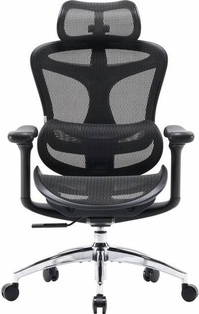 Компьютерное кресло Sihoo DORO C300