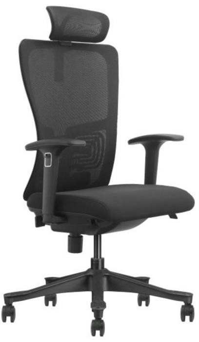 Компьютерное кресло Intarsio Seton