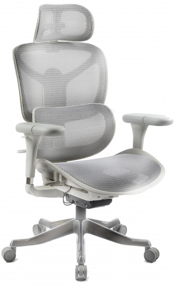 Компьютерное кресло ADAPWORK S7 Mesh Senior ErgoChair