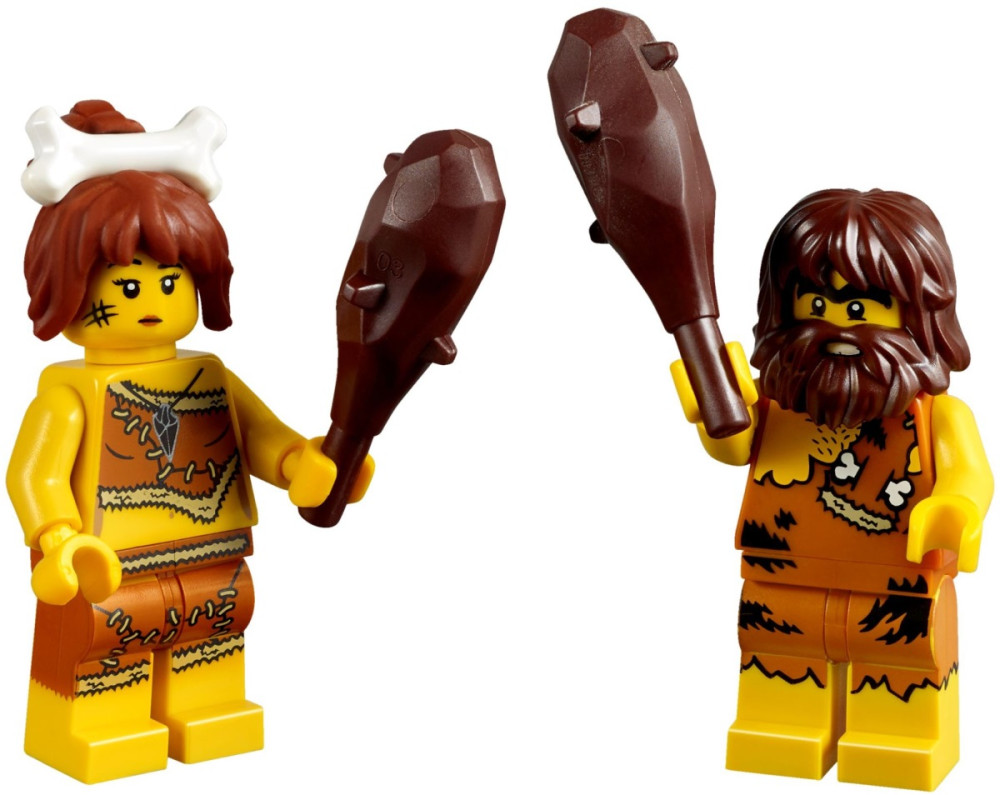 Конструктор Lego Iconic Cave 5004936