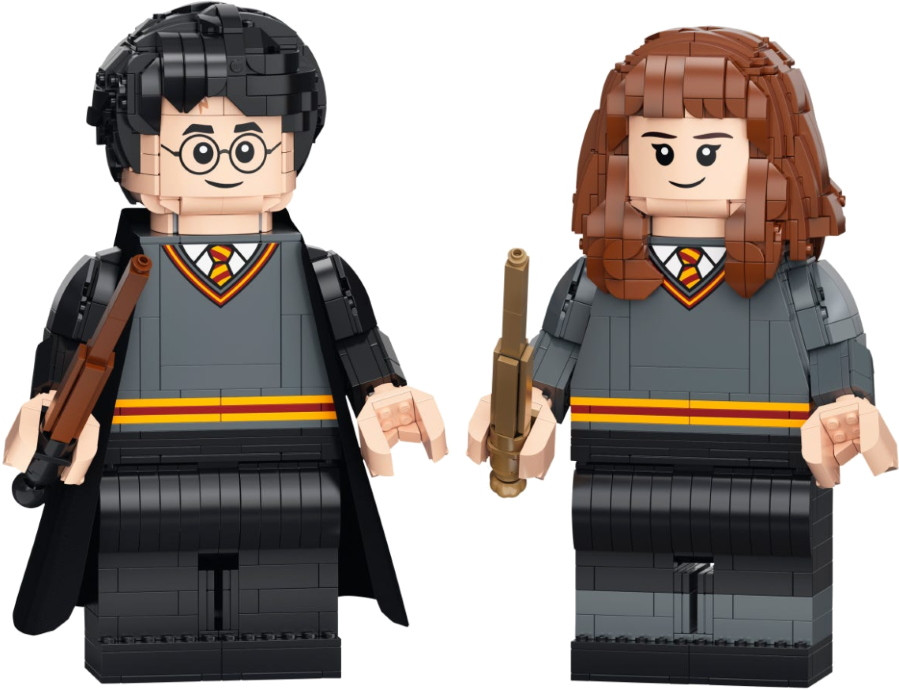 Конструктор Lego Harry Potter and Hermione Granger 76393