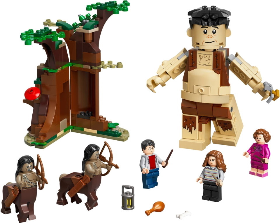 Конструктор Lego Forbidden Forest Umbridges Encounter 75967