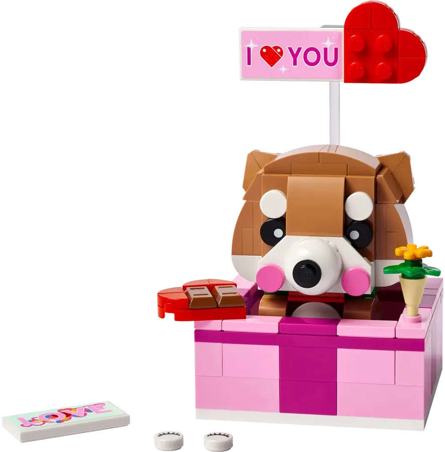 Конструктор Lego Love Gift Box 40679