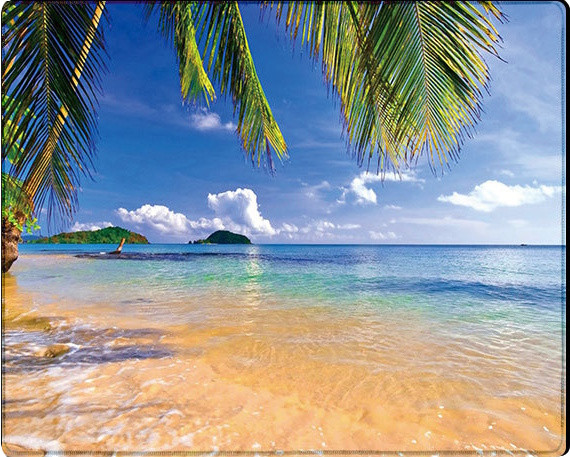 Коврик для мышки Voltronic Power Tropical Palm