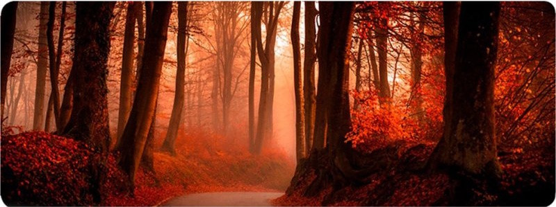 Игровой коврик Voltronic Power Red Forest