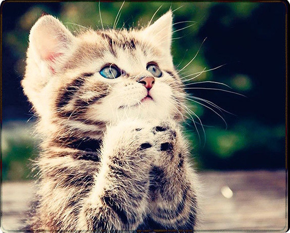 Килимок для мишки Voltronic Power CAT3