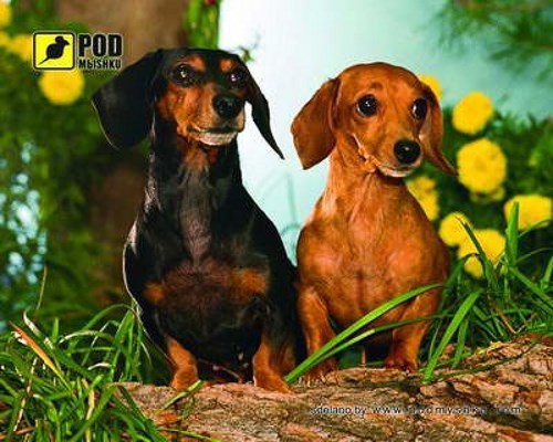 Коврик для мышки Pod myshku Taksu