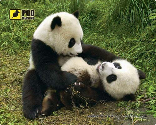 Коврик для мышки Pod myshku Pandas