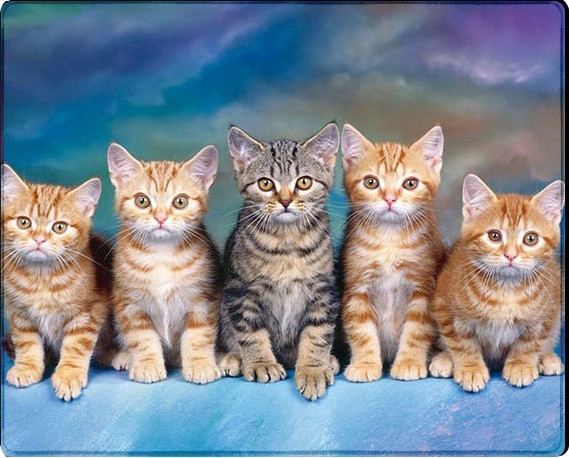 Килимок для мишки Voltronic Power Five Cats