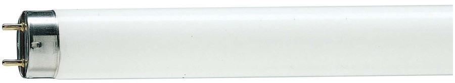 Лампочка Philips TL-D 30W 6200K G13