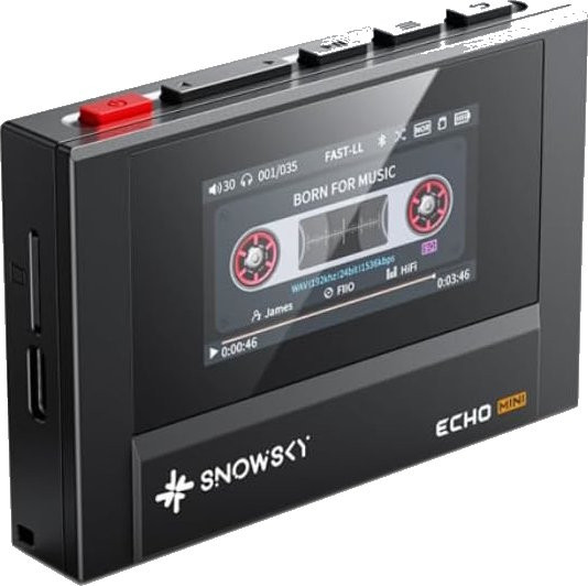 Плеер FiiO SnowSky Echo Mini