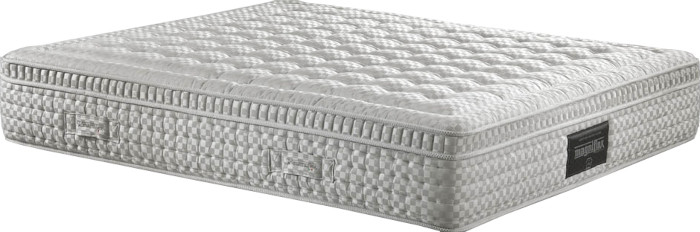 Матрас Magniflex Maestro Dual 160x200
