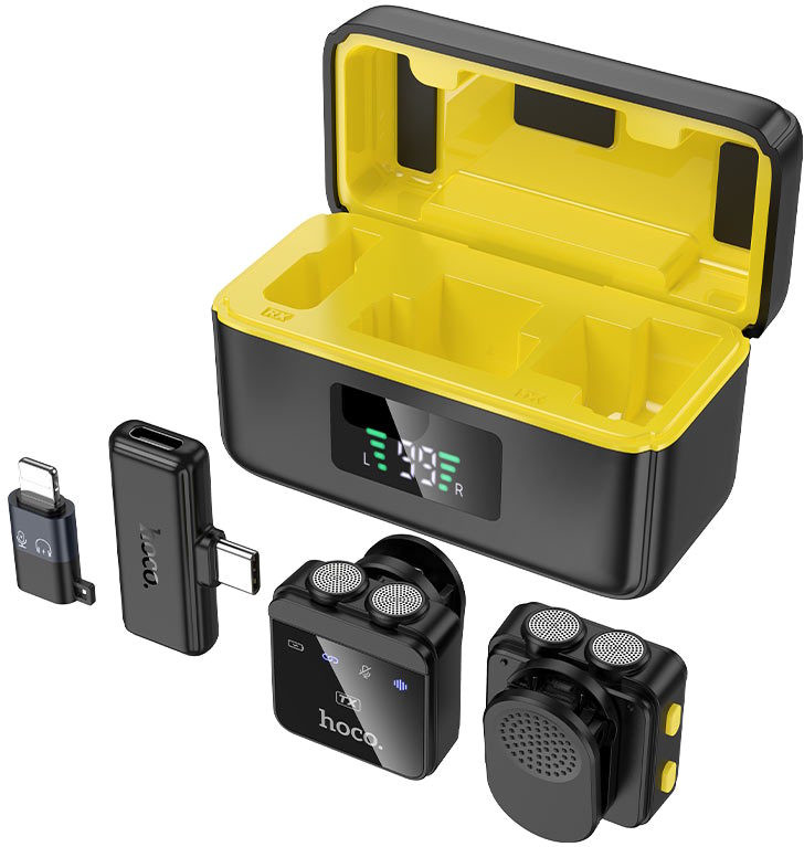 Радиосистема Hoco L17