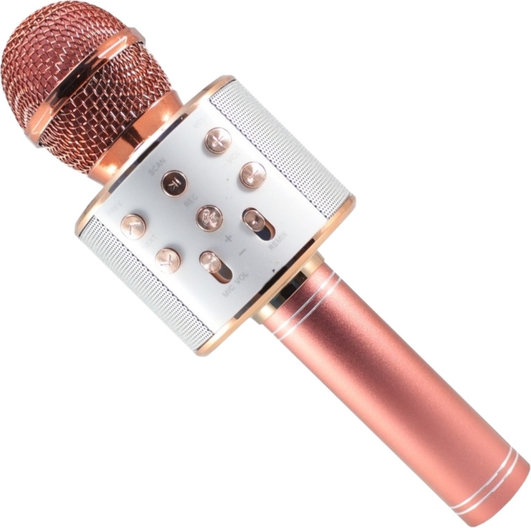 Микрофон WSTER WS-858