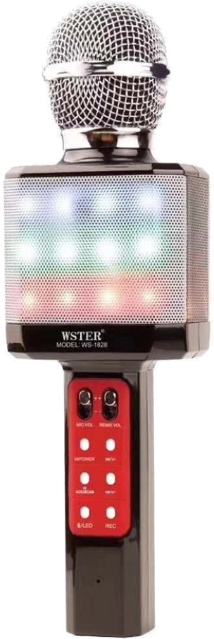 Микрофон WSTER WS-1828