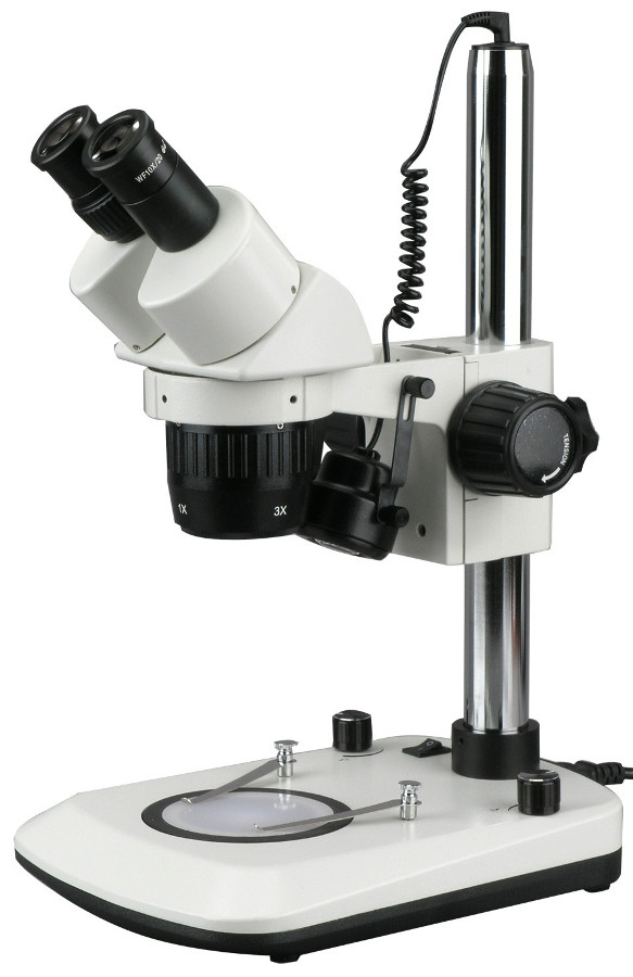 Микроскоп AmScope SW-2B13-6WB-V331