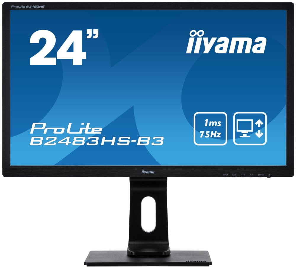 Монитор Iiyama ProLite B2483HS-B3