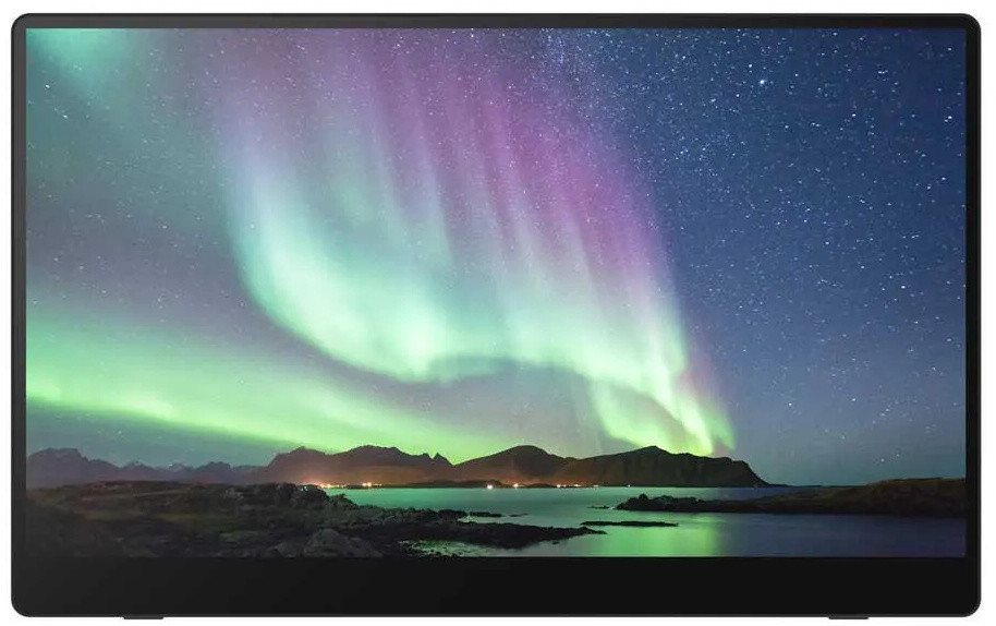 Монитор Ricoh Portable Monitor 150BW