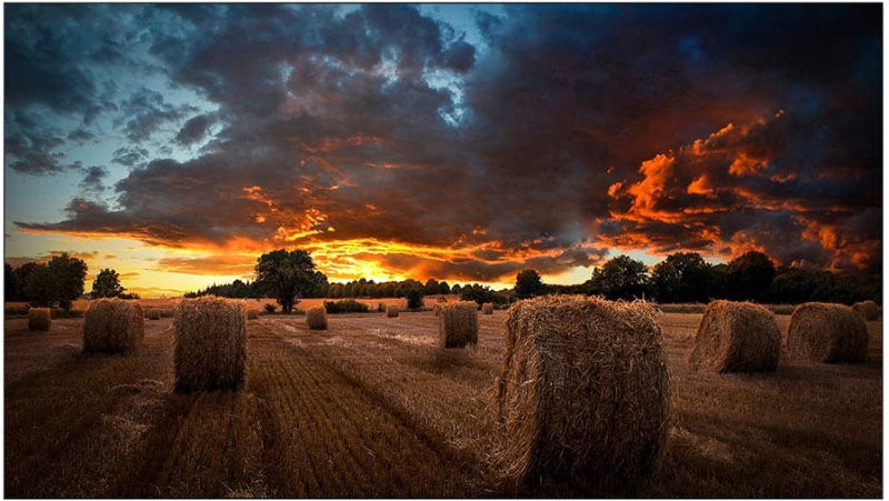 Монитор Samsung VM55T-U