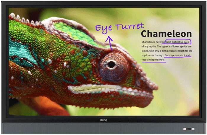 ЖК-панель BenQ RM6501K