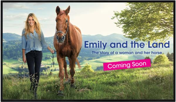 РК-панель Sharp PN-HW431