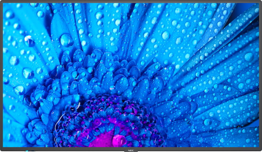 ЖК-панель NEC M491