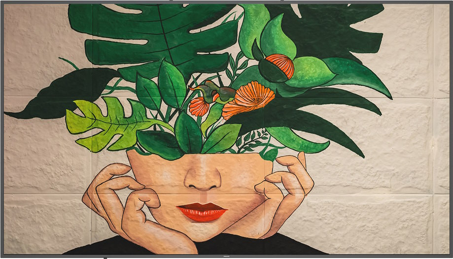 ЖК-панель Philips 98BDL4550D