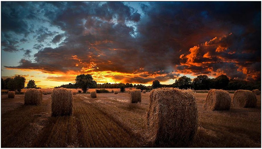 Монитор Samsung VM46B-U