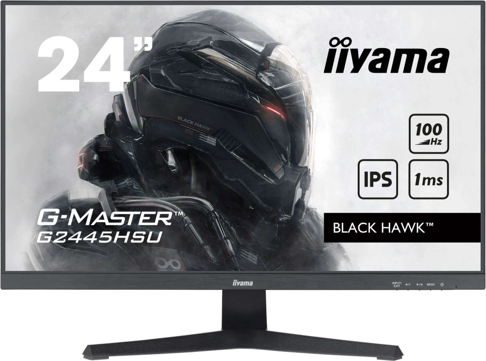 Монитор Iiyama G-Master G2445HSU-B2