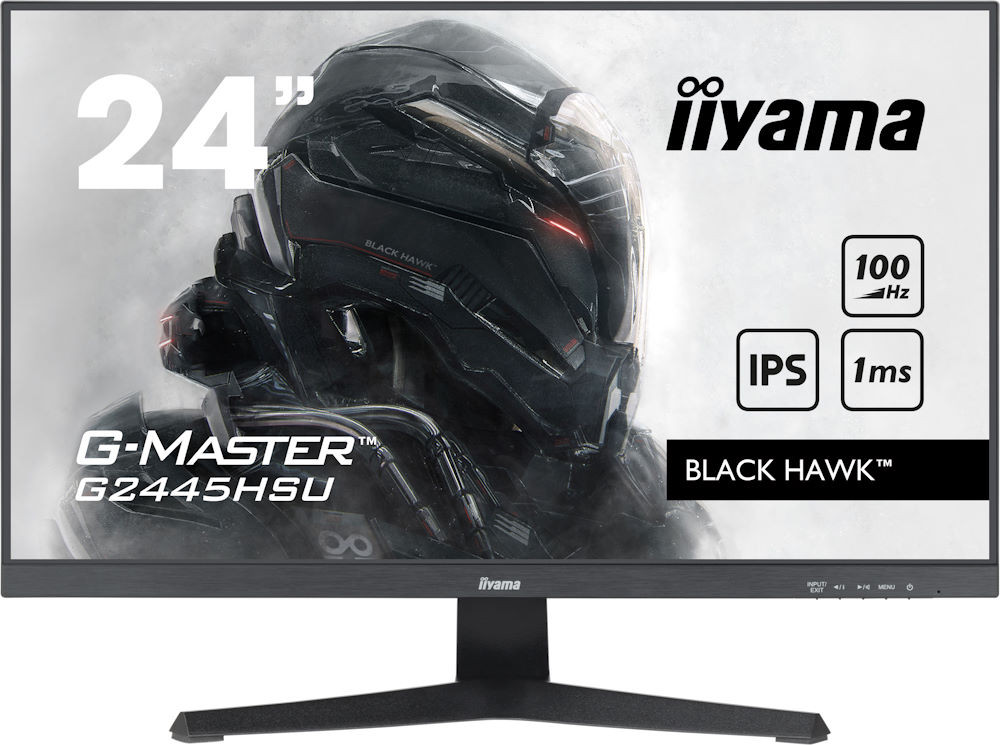 Монитор Iiyama G-Master G2445HSU-B1