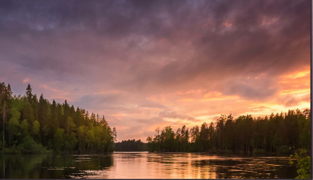 Монітор 2E VE55L-A