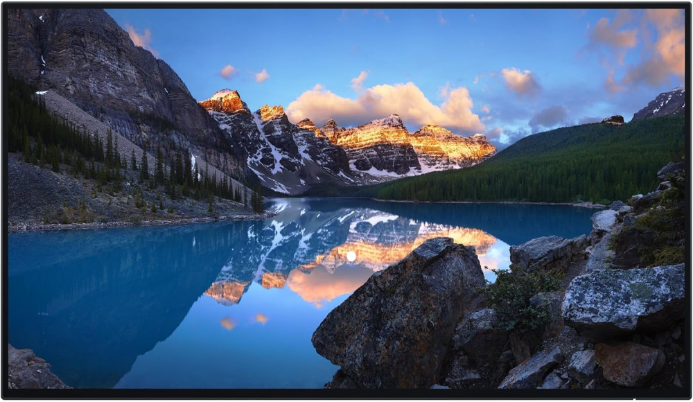 Монітор Dell U2424H Without Stand без підставки