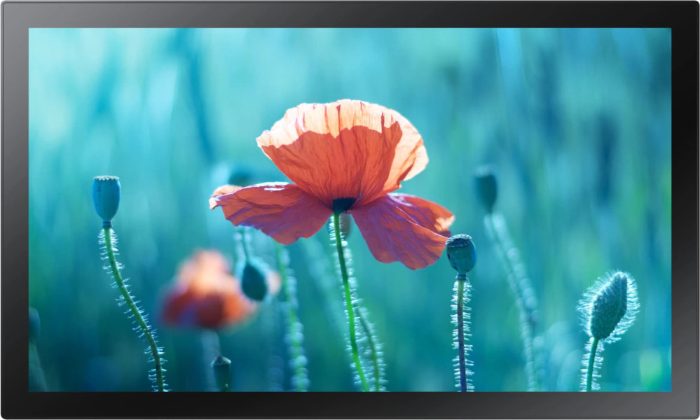 Монитор Samsung QB13R-T