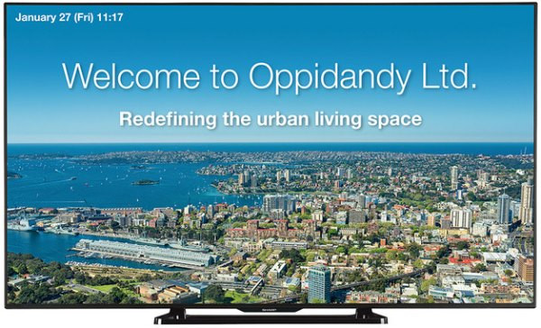 РК-панель Sharp PN-Q801E