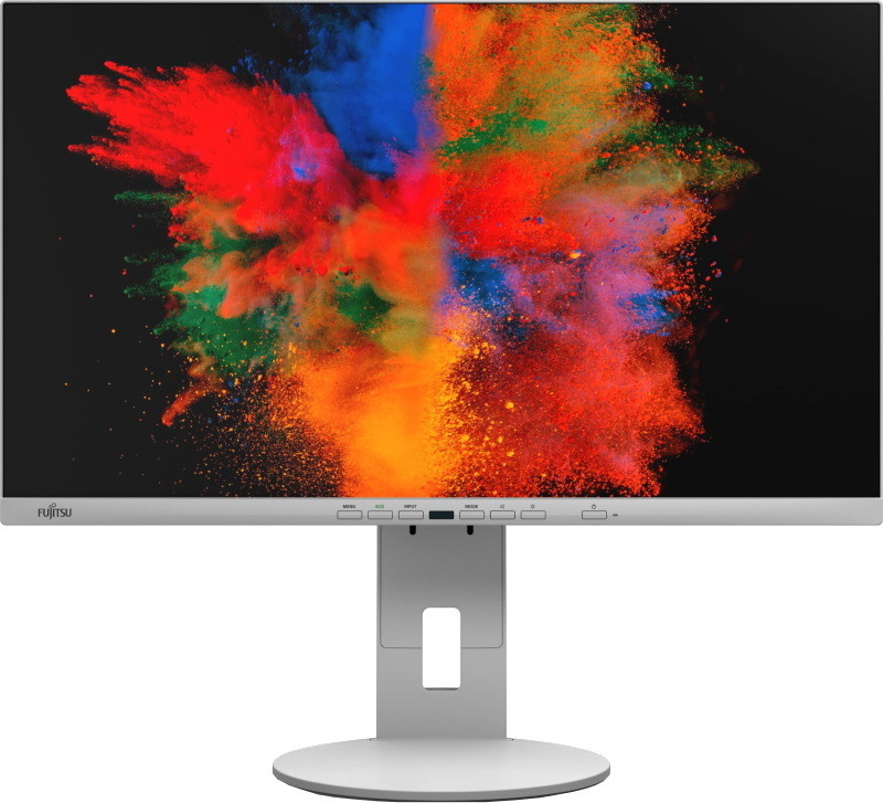 Монитор Fujitsu P2410 TE