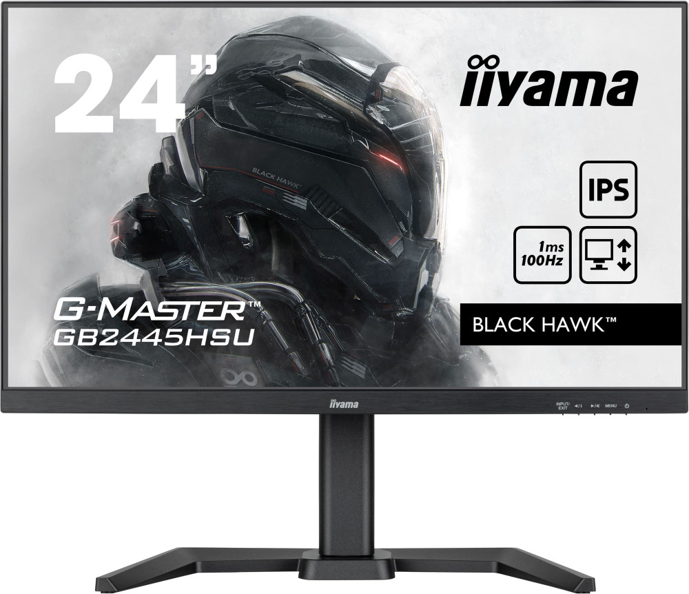 Монитор Iiyama G-Master GB2445HSU-B1