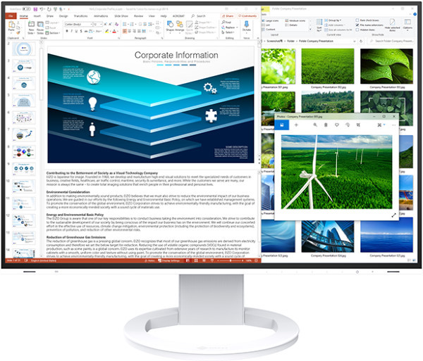 Монитор Eizo FlexScan EV2485