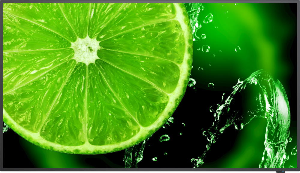 ЖК-панель NEC E498