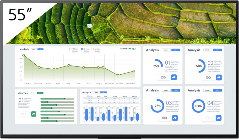 РК-панель Sony BRAVIA FW-55BZ30L