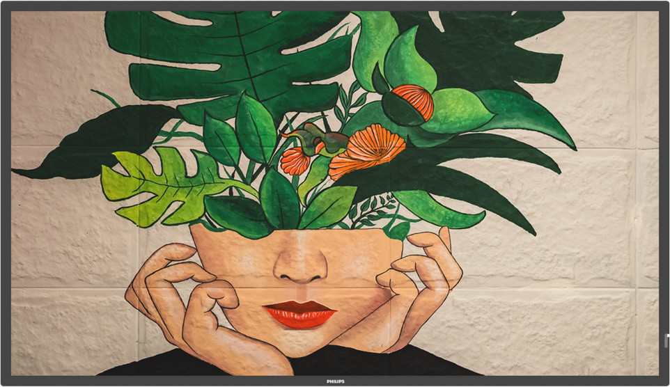 РК-панель Philips 43BDL4511D