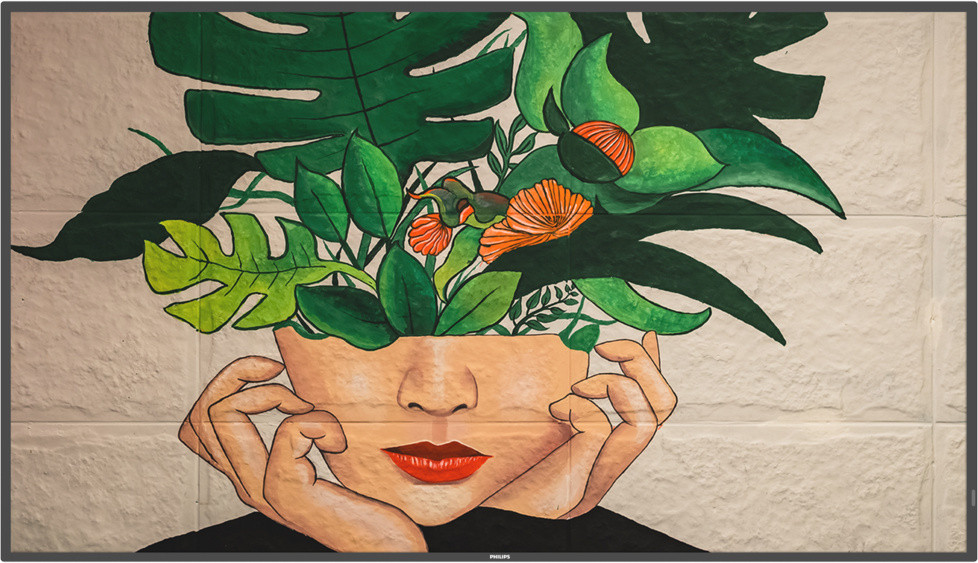 РК-панель Philips 55BDL4511D