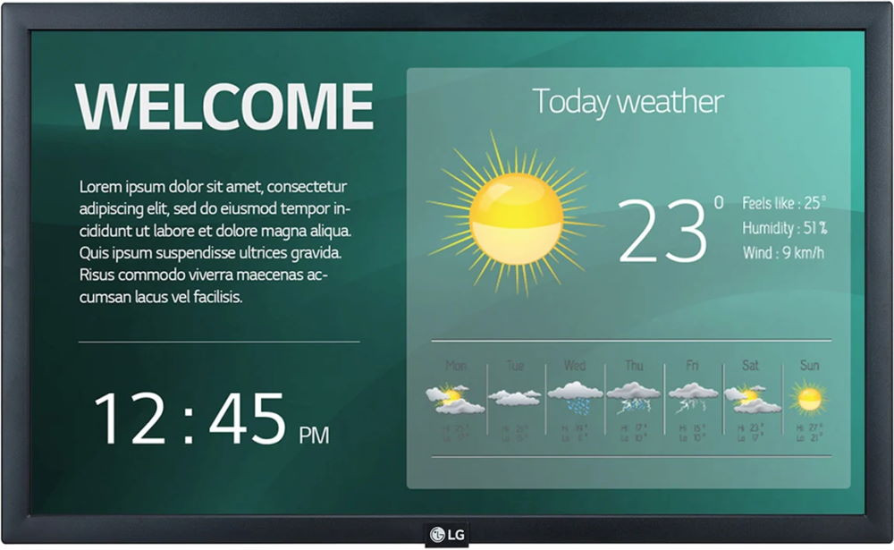 ЖК-панель LG 22SM3G