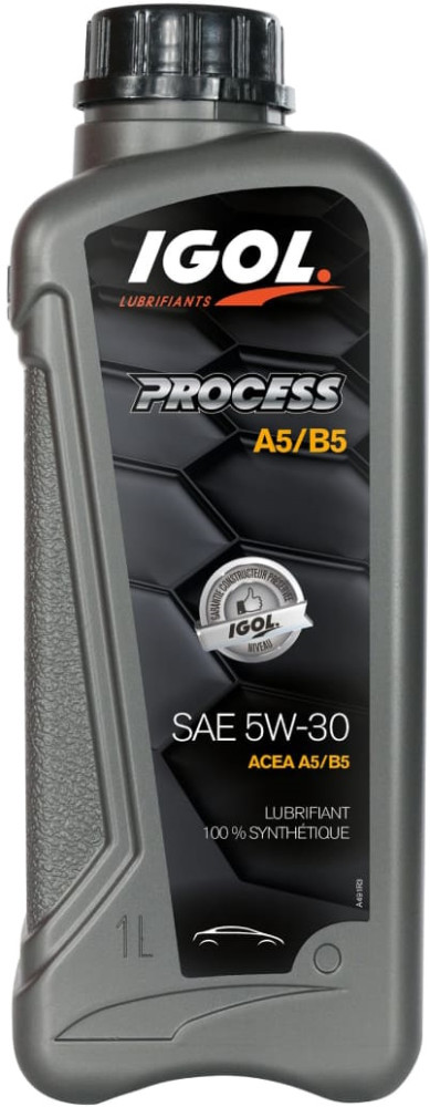 Моторне мастило Igol Process A5/B5 5W-30